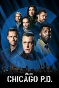 Полиция Чикаго 4 сезон (2017)